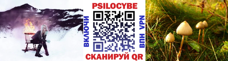 купить наркотики цена  гидра как войти  Псилоцибиновые грибы Psilocybe  Радужный 